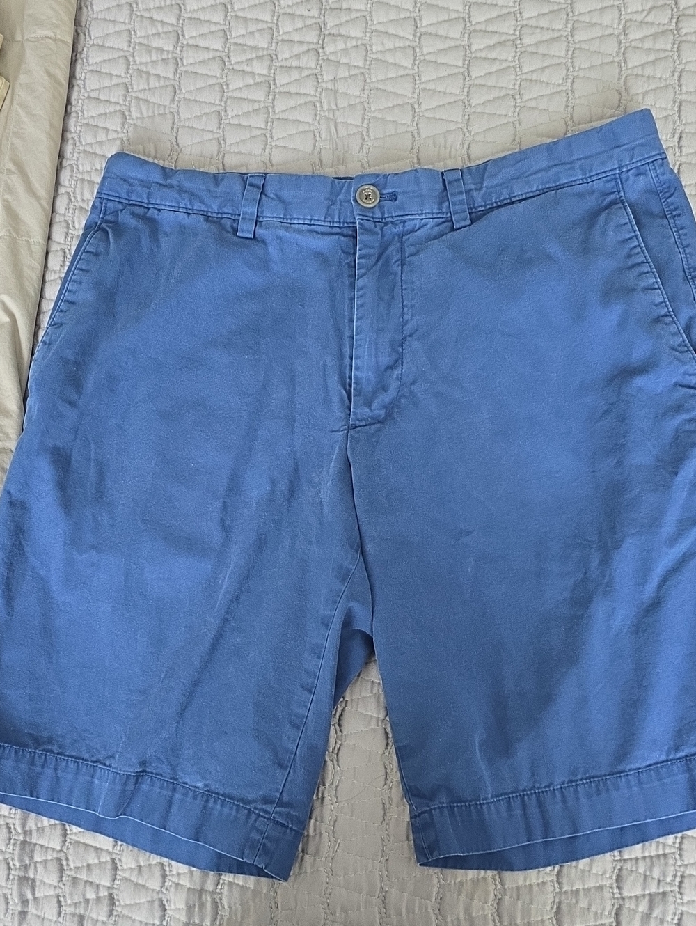Banana Republic Light Blue Flat Front Chino Shorts